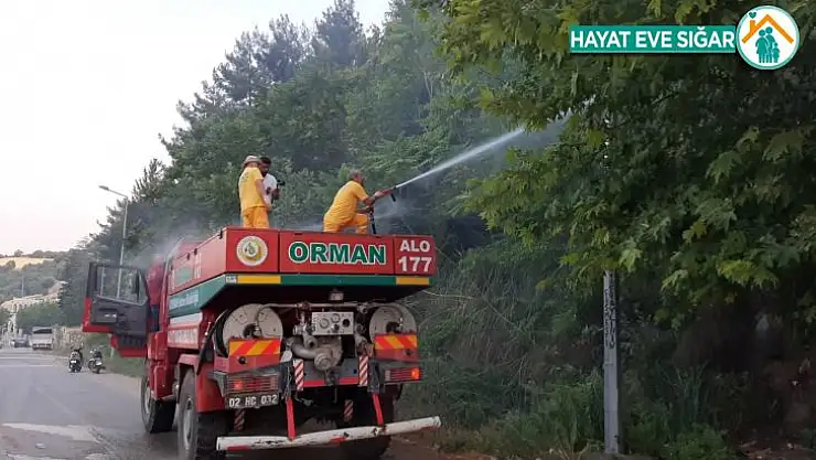 Orman yangını büyümeden söndürüldü