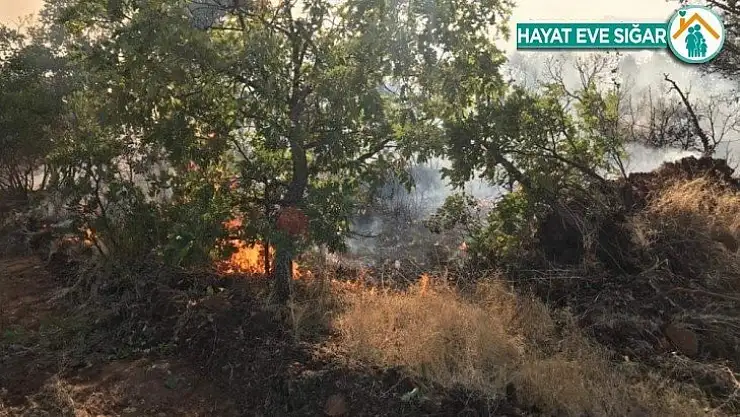 Ormanlık alandaki yangın imece usulü söndürüldü