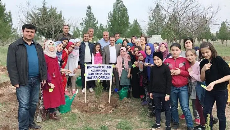 Ortaokul öğrencileri fidan dikti