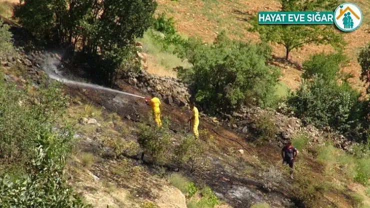 Örtü yangınında badem fidanları zarar gördü
