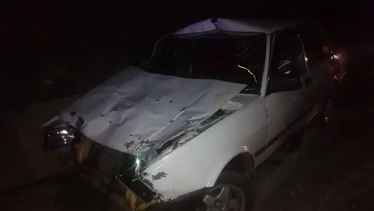 Otomobil ata çarptı: 2 yaralı