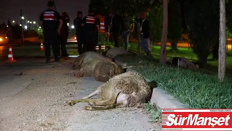 Otomobil koyun sürüsüne daldı: 2 yaralı