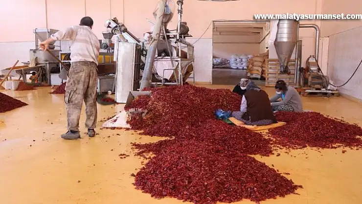 (Özel) Küçük tesiste üretilen pul biberler Avrupa, İngiltere ve ABD'ye ihraç ediliyor