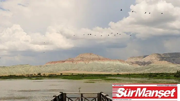 (Özel) Nallıhan Kuş Cenneti'nde görsel şölen