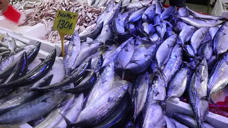 Palamudun Fiyatı 150 Liraya Çıktı