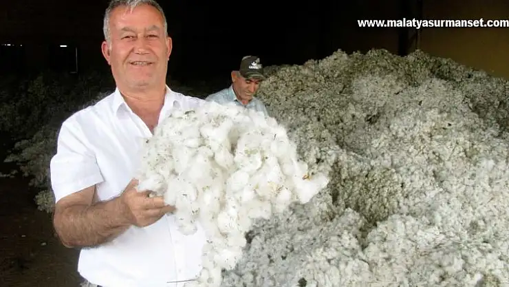 Pamuk fiyatı üreticilerin yüzünü güldürdü