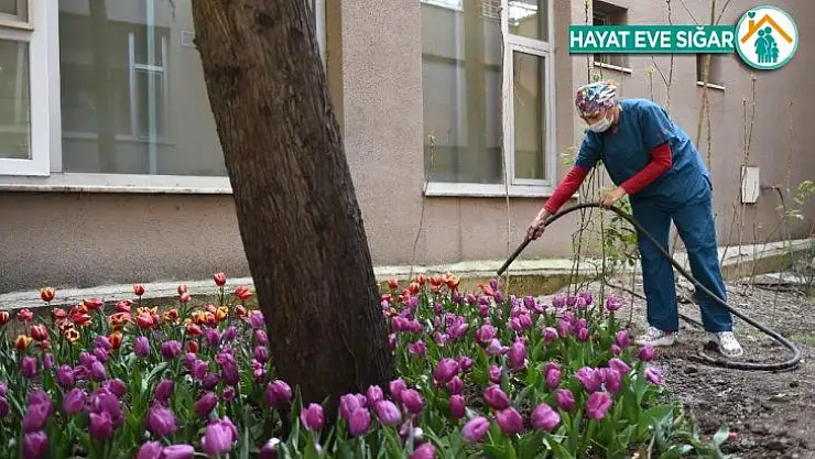 Pandeminin kalbinde güçlü dayanışma