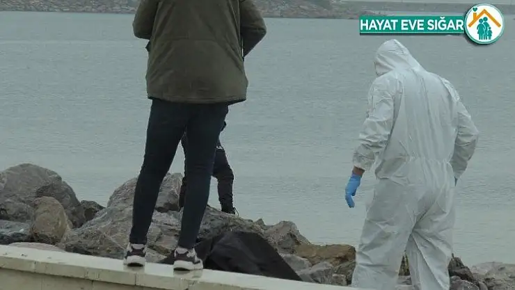Pendik'te sahilde denizden erkek cesedi çıkartıldı