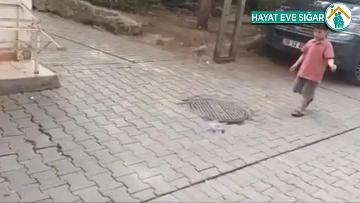 Pet şişeyle oynayan Yusuf'a oda dolusu oyuncak sürprizi