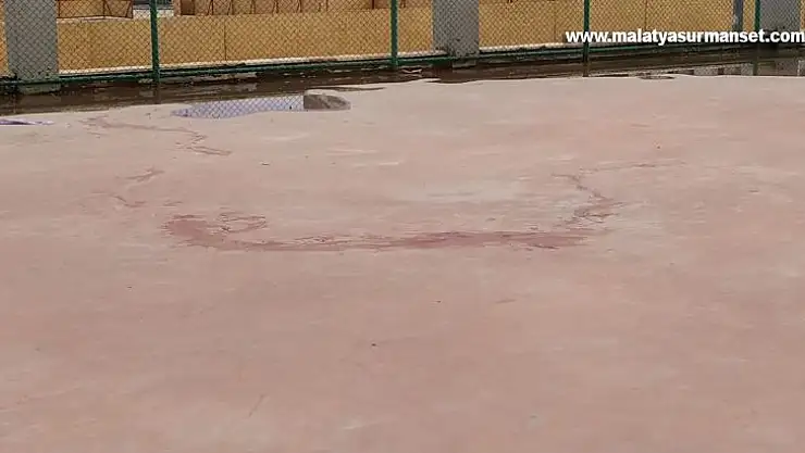 Pitbull cinsi iki köpeğin saldırdığı 4 yaşındaki çocuk ağır yaralandı