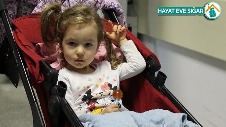 Pitbull saldırısına uğrayan minik Bahar hastaneden taburcu oldu