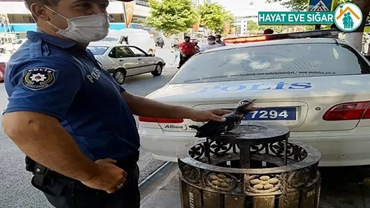 Polisten Kargaya şefkat eli