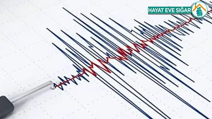 Pütürge'de bir saatte 11 artçı sarsıntı meydana geldi