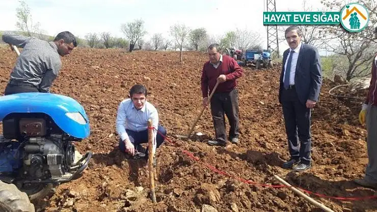 Pütürge kırmızısı çeşidinin geliştirilmesi projesi