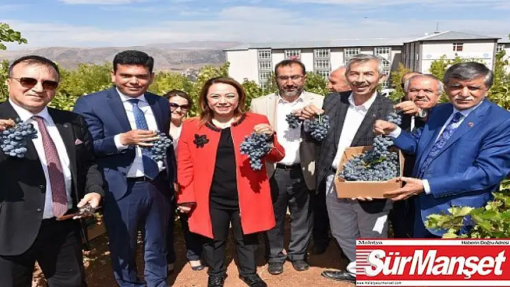 Rektör Karabulut Arapgir üzümünün kanseri önleme etkisi diğer üzümlere göre 10 kat fazla