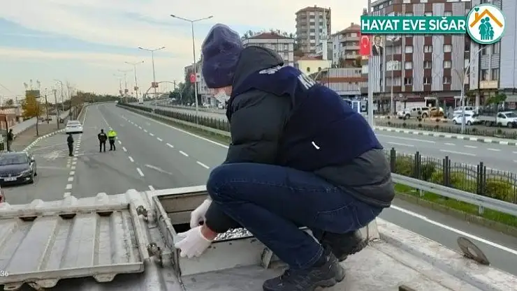 Rize'de 10 ton hamsiye el konuldu