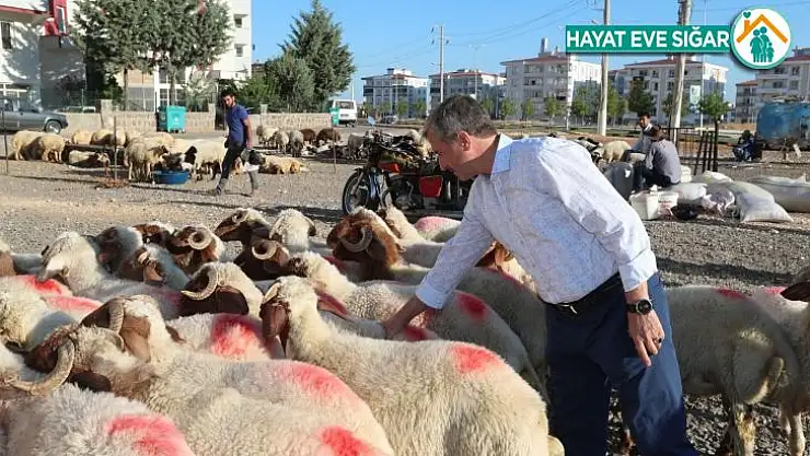 Şahinbey'de kurban satış ve kesim yerleri belirlendi