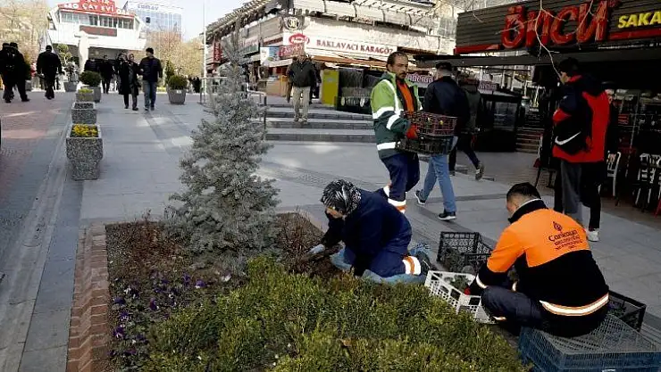 Sakarya'da 13 bin çiçek açtı