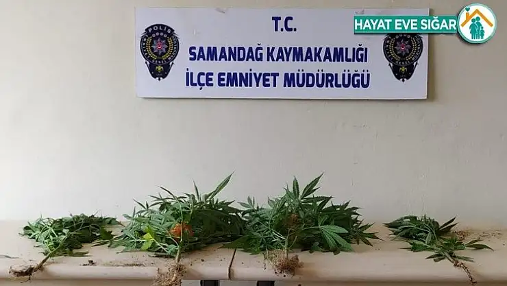 Samandağ'da uyuşturucu operasyonu: 2 gözaltı