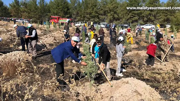Samsat'ta 2 bin 23 adet fidan toprakla buluştu
