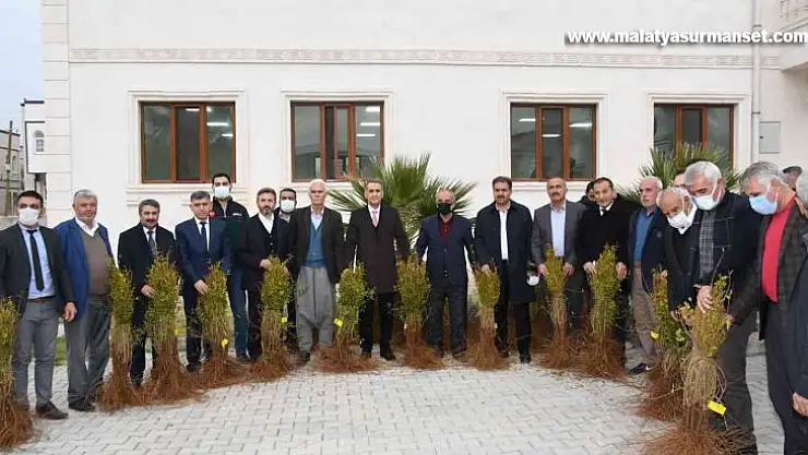 Samsat'ta 60 bin adet nar fidanı dağıtıldı