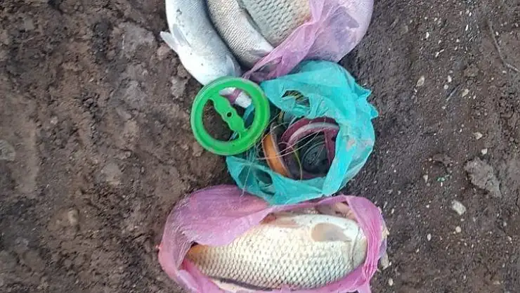 Samsat'ta balık avlayanlara göz açtırılmıyor