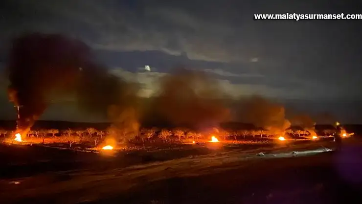 Şanlıurfa'da çiftçiler don olayına karşı ağaçlarını ateş yakarak korudu