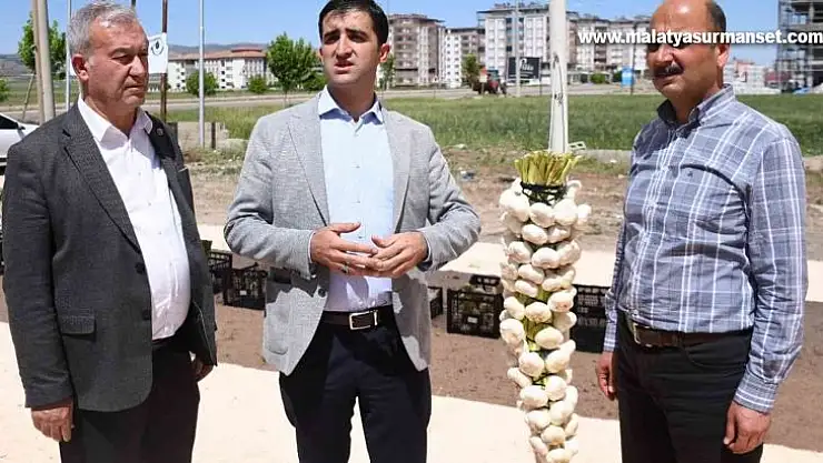 Sarımsak ve firik üreticileri altın için yarıştı