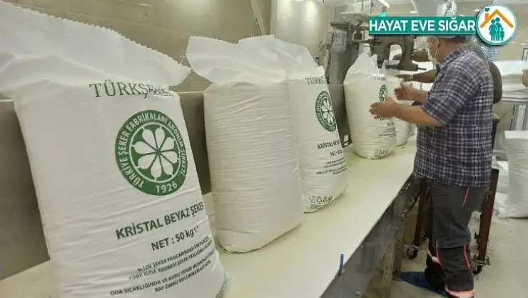 Şeker pancarının tarladan sofralara uzanan tatlı yolculuğu