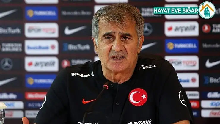 Şenol Güneş:
