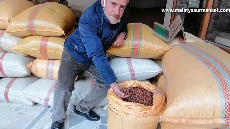 Serbest piyasada fındık fiyatı yükselişe geçti