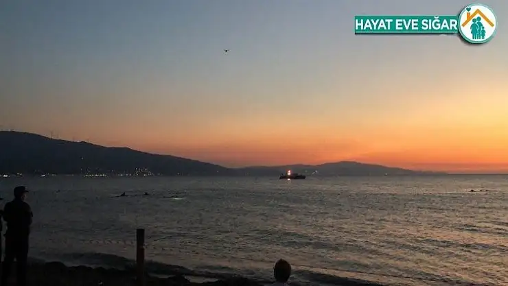 Serinlemek için girdiği deniz sonu oldu