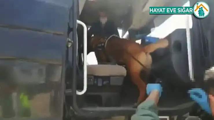 Seyahat izin belgeli tırdan uyuşturucu çıktı