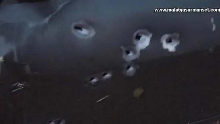 Seyir halindeki araç kurşunlandı