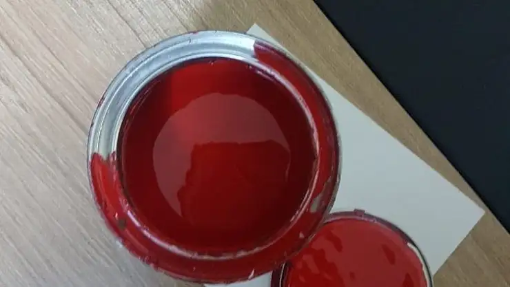 Şeytanın aklına gelmeyecek 'İltica' oyunu