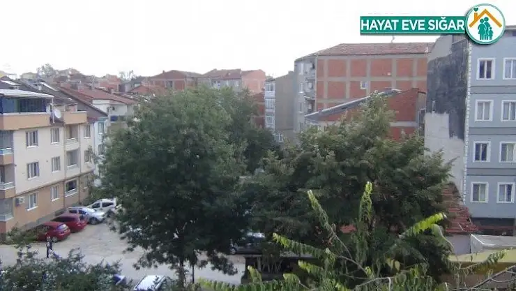 Şiddetli lodos hayatı felç etti