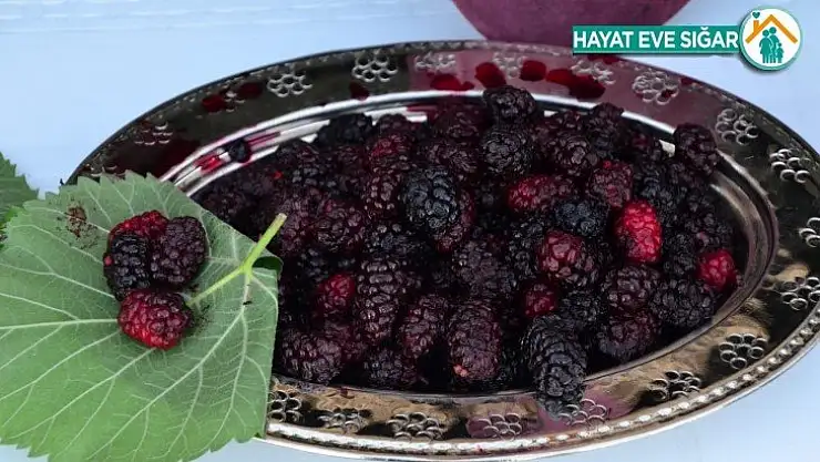 Şifa kaynağı Horum dutu pekmezi gramla satılıyor