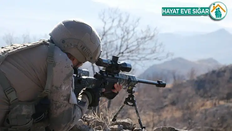 Siirt'te terör örgütünün kış üslenmesine darbe