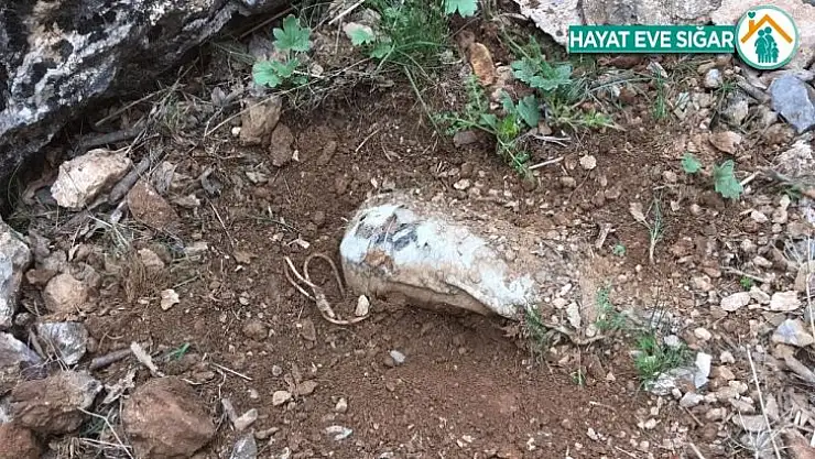 Siirt'te PKK'lı teröristlerce araziye tuzaklanan patlayıcı tespit edildi