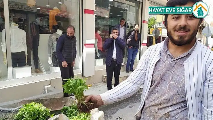 Silvan'da  sebze fideleri satışı başladı