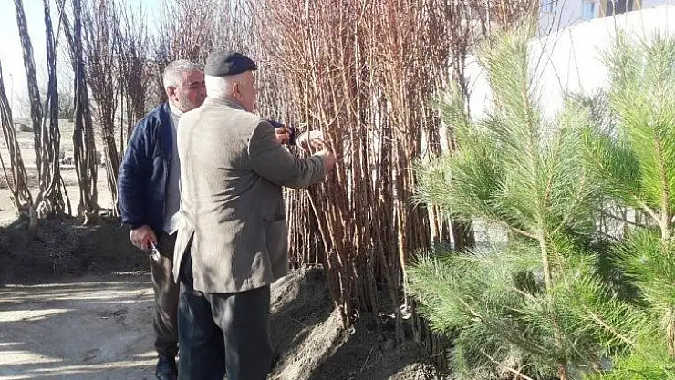 Silvan'da meyve fidanları satışı başladı