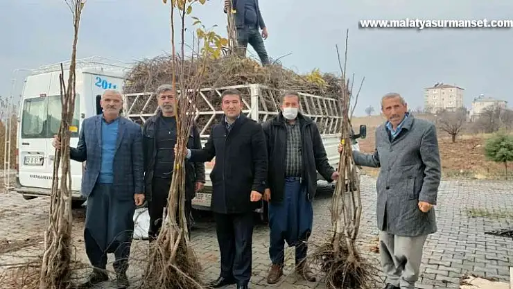 Sincik ilçesinde ceviz ve badem fidanı dağıtıldı