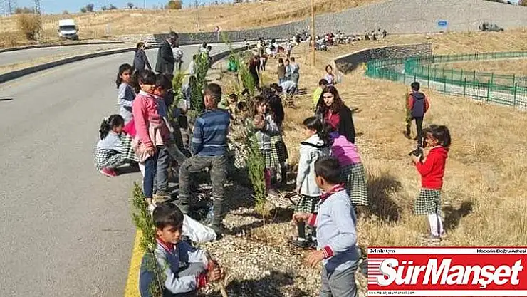 Sincik'te bin fidan toprakla buluştu