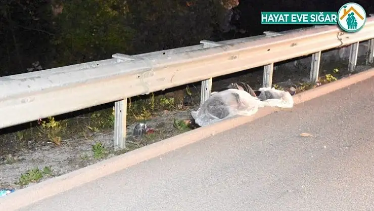 Sinop'ta otomobilin çarptığı yaya hayatını kaybetti