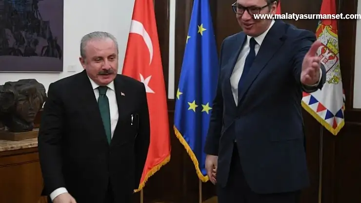 Sırbistan Cumhurbaşkanı Vucic: