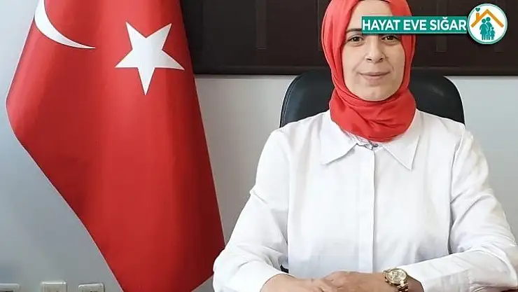Sokak hayvanları için yeni yaşam alanı önerisi
