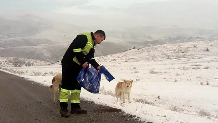 Sokak hayvanlarına mama desteği