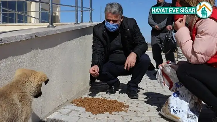 Sokak hayvanlarını besleyen gençlere plaket