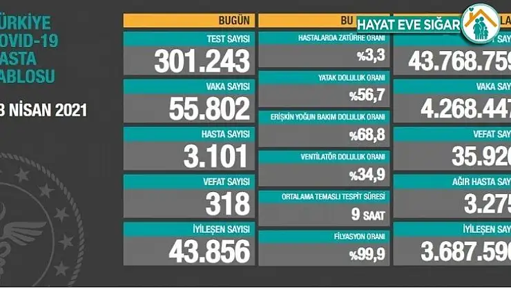 Son 24 saatte korona virüsten 318 kişi hayatını kaybetti