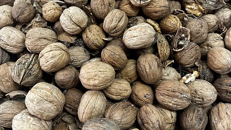 Son kullanma tarihi geçen 600 kiloluk ürüne el konuldu